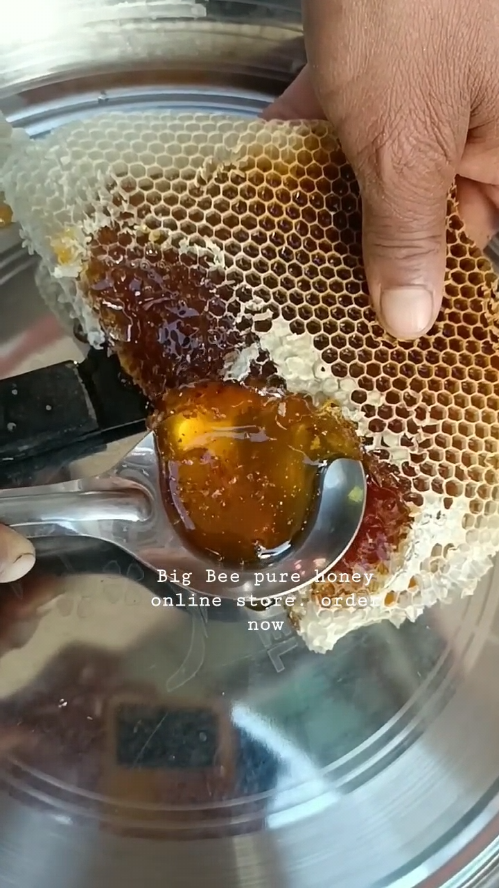 PURE WILD HONEY